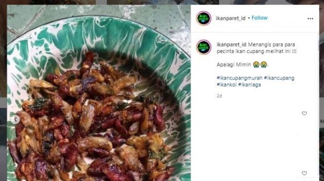 Warganet menggoreng ikan cupang jadi krispi (Instagram @ikanparet_id)