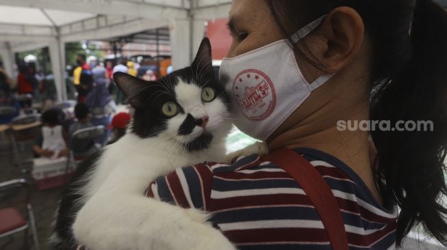 Warga menggendong hewan peliharaannya usai melakukan vaksinasi rabies dan pemeriksaan kesehatan hewan peliharaan secara gratis di Kantor Kelurahan Rawajati, Pancoran, Jakarta, Sabtu (7/11/2020). [Suara.com/Angga Budhiyanto]