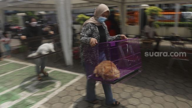 Warga membawa hewan peliharaan untuk melakukan vaksinasi rabies dan pemeriksaan kesehatan hewan peliharaan secara gratis di Kantor Kelurahan Rawajati, Pancoran, Jakarta, Sabtu (7/11/2020). [Suara.com/Angga Budhiyanto]