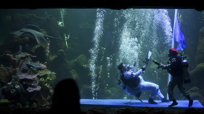 Penyelam mementaskan drama teatrikal yang bertajuk "Semangat perjuangan" di akuarium utama Sea World, Ancol, Jakarta, Sabtu (7/11/2020). [ANTARA FOTO/Hafidz Mubarak A]