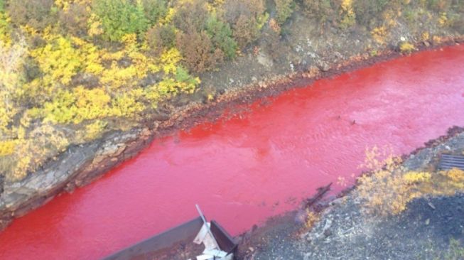 Sungai Iskitimka, Rusia berubah menjadi merah secara misterius. [Facebook/@ ]