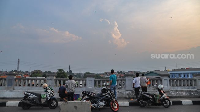 Para warga bermain layangan di samping Fly Over Kalibata, Jakarta Selatan, Senin (9/11). [Suara.com/Alfian Winanto]