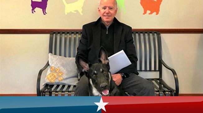 Joe Biden Keseleo saat Main Bersama Anjing, Dokter Spesialis Turun Tangan