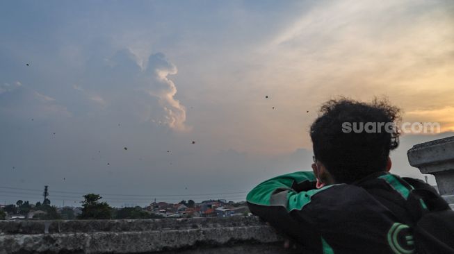 Seorang melihat layangan yang menghiasi langit di samping Fly Over Kalibata, Jakarta Selatan, Senin (9/11). [Suara.com/Alfian Winanto]