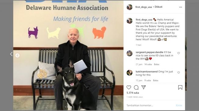 Anjing Joe Biden Nakal, Dipulangkan ke Delaware karena Gigit Staf