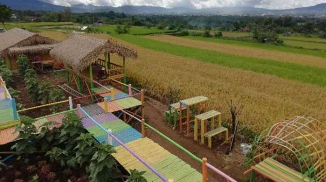 Dangau Pasawangan, Pilihan Wisata Instagramable Sawah & Pegunungan di Agam