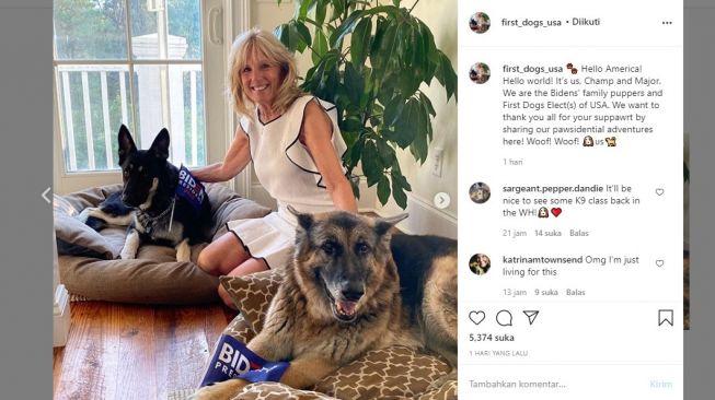 Unggahan pertama akun Instagram anjing Joe Biden.[Instagram/@first_dogs_usa]