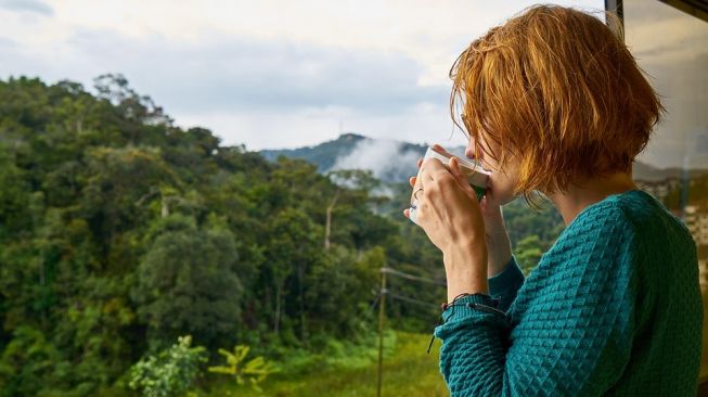 Ambos contienen cafeína, ¿cuál es la diferencia entre el café y el té?