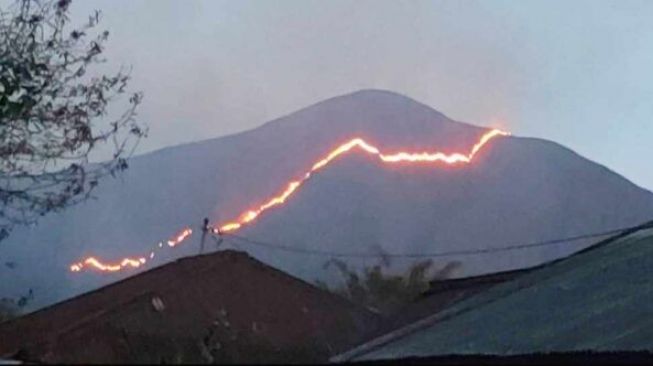 Bukit Anak Dara Terbakar