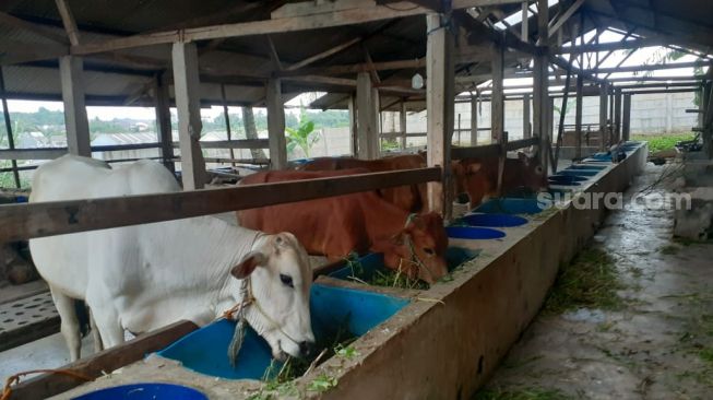 Pondok Pesantren Nurul Ihsan (Suara.com/Wivy)