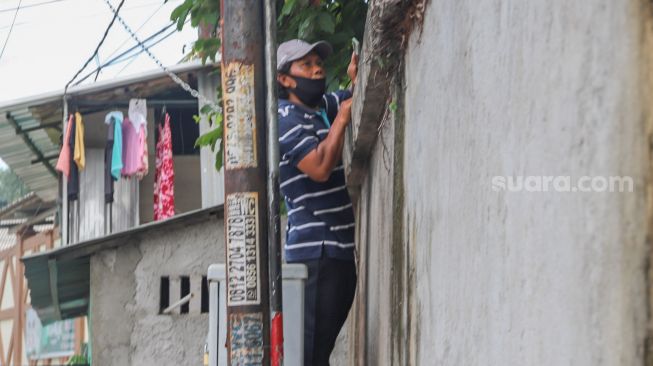 Warga memanjat dinding untuk melihat momen pernikahan Komedian Sule dengan Nathalie Holscher di Jatisampurna, Bekasi, Jawa Barat, Minggu (15/11). [Suara.com/Alfian Winanto] 