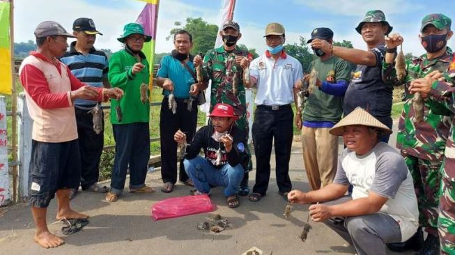 220 Hektare Sawah di Karanganyar Terserang Hama Tikus