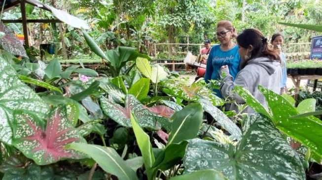 Kampung Bunga Kabupaten Gowa, Mendadak Ramai di Tengah Pandemi