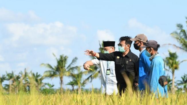 Mentan Serahkan Bantuan Pupuk dan Alsintan untuk Genjot Pertanian di Bali