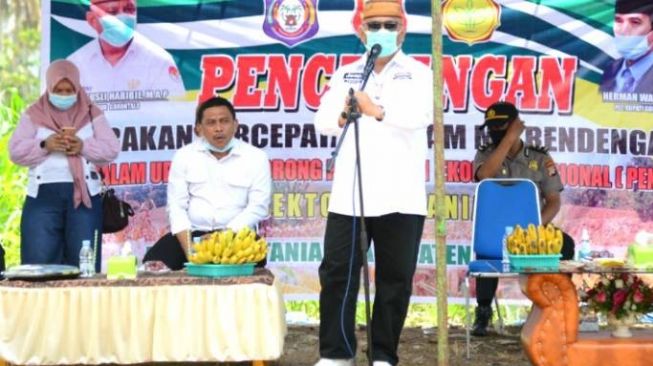 Gubernur Gorontalo Serahkan Bantuan Benih Jagung Hibrida Secara Simbolis