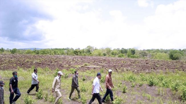 Kementan RI Lakukan Percepatan Tanam Kawasan Food Estate di Wilayah NTT