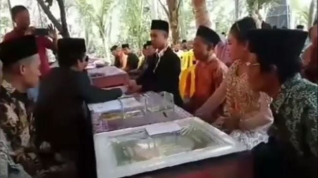 Greget! Pasangan Ini Nikah dengan Mahar Sepasang Ikan Cupang Dibayar Tunai