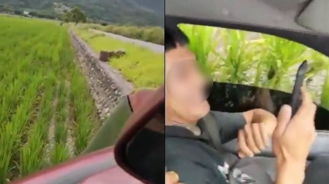 Mobil Nyungsep ke Sawah, Ekspresi Penumpangnya Malah Menyita Perhatian