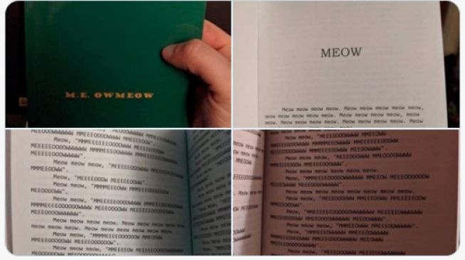 Beli Buku Soal Kucing, Pemuda Ini Menyesal Karena Isinya Hanya Kata 'Meow'