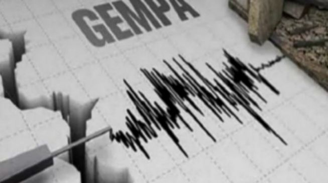 Jumat Dini Hari, Gempa Magnitudo 4,9 Guncang Pulau Siberut Sumbar