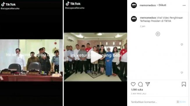 Viral Video Jokowi dan Puan Maharani Disebut Keturunan Binatang (Instagram)