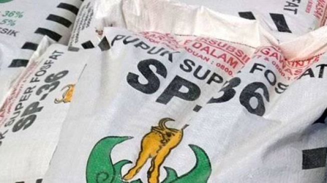 Kabar Baik! Lebak Akan Dapat Tambahan Pupuk Bersubsidi