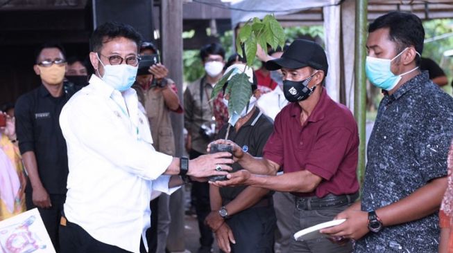 Kementan RI Punya Rencana Jangka Panjang di Kabupaten Soppeng, Seperti Apa?
