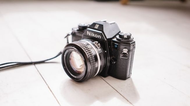 Nikon Bikin Kamera AI yang Bisa Deteksi Kapan Anak Sapi Lahir