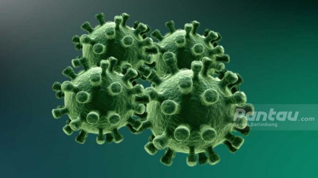 Pakar Epideomologi Sebut 2 Agenda Besar Ini Picu Klaster COVID-19