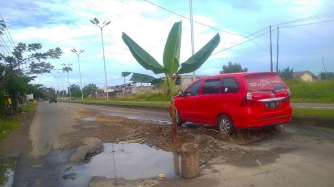 Warga Lhokseumawe Tanam Pohon Pisang di Tengah Jalan, Kok Bisa?