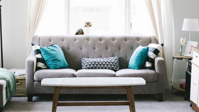 Tips Memilih Warna Sofa untuk Ruang Tamu, Lakukan Hal Ini Agar Suasana Rumah Lebih Fresh