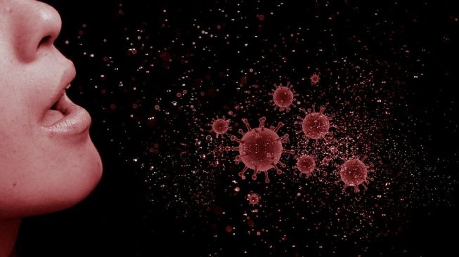 Illustration von Koronavirus, Nase, Nasenbluten (Pixabay / mohamed_hassan)