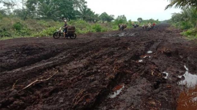 Curhat Jokowi Akibat Jalan Rusak, Pikul Warga Sakit Bersama Sejauh 8 Km