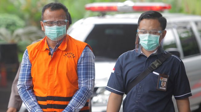 Kelanjutan Kasus Korupsi Benih Lobster Edhy Prabowo, Dua Saksi Dicecar KPK