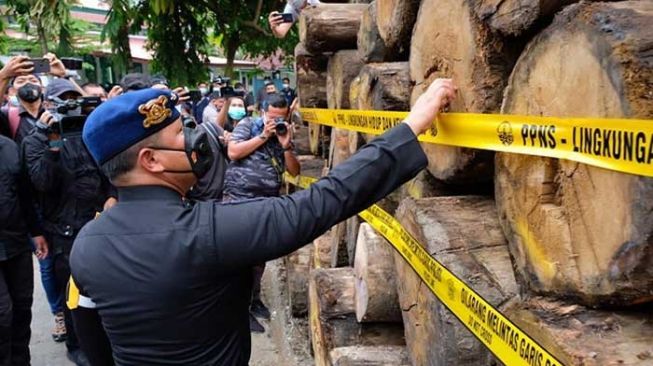 Polda Riau Tangkap 10 Orang dalam Kasus Illegal Logging di Rimbang Baling