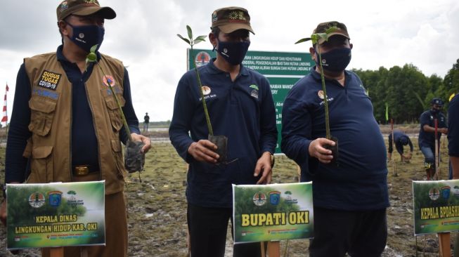 230 Ha Mangrove di Tulung Selapan Kembali Ditanam