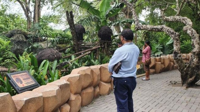 Baru Setengah Hari, Pengunjung Gembira Loka Zoo Capai Seribu Lebih