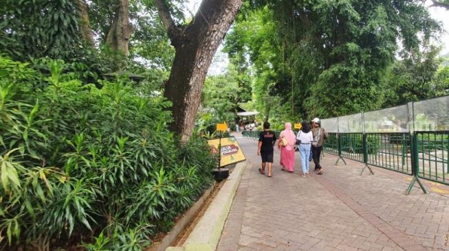 Anak Usia di Bawah 12 Tahun Dilarang Masuk Tempat Wisata, Kunjungan GL Zoo Turun Drastis