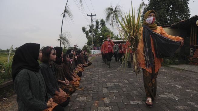 Sejumlah warga melakukan kirab tradisi wiwitan padi di Kayuhan, Sidowayah, Polanharjo, Klaten, Jawa Tengah, Sabtu (28/11/2020). [ANTARA FOTO/Aloysius Jarot Nugroho]