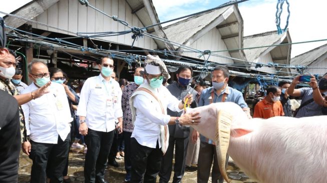 Mentan Dorong Tana Toraja Jadi Gerbang Pertanian