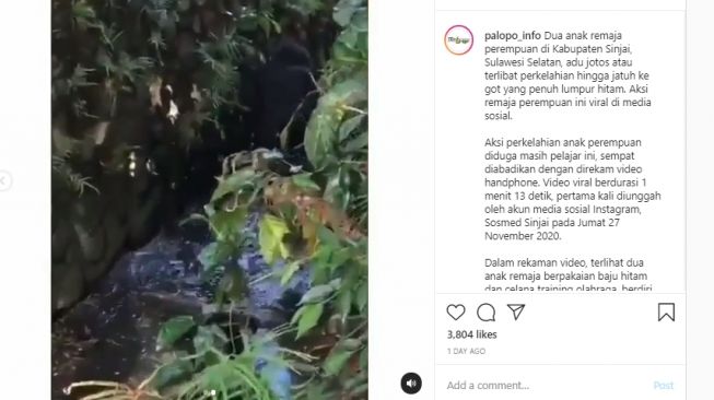 Viral Video Dua Remaja Putri Adu Jotos Sampai Kecebur Got, Publik Melongo