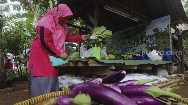 Warga menimbang hasil pertanian saat panen serentak di Susia Garden, Kalibata, Jakarta, Senin (30/11/2020). [Suara.com/Angga Budhiyanto]