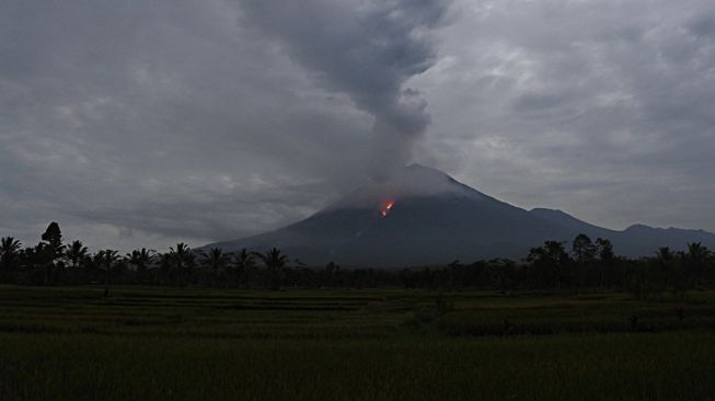 Gunung Semeru Masih Level II, Waspadai Potensi Lahar Dingin