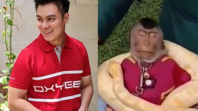 Baim Wong Panen Kritik Gegara Unggah Video Monyet, Publik: Tega Banget Sih!