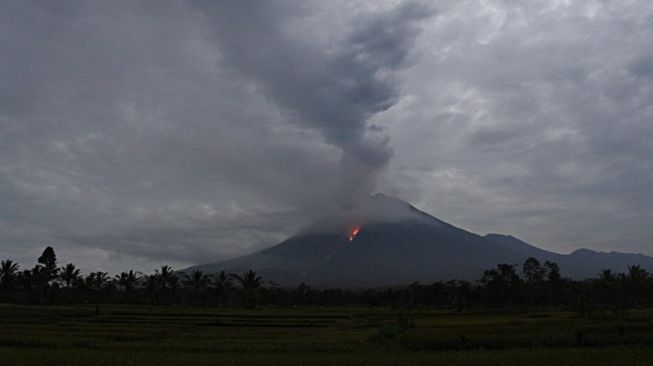 Gunung Semeru erupsi terlihat dari kejauhan (Foto: Antara)