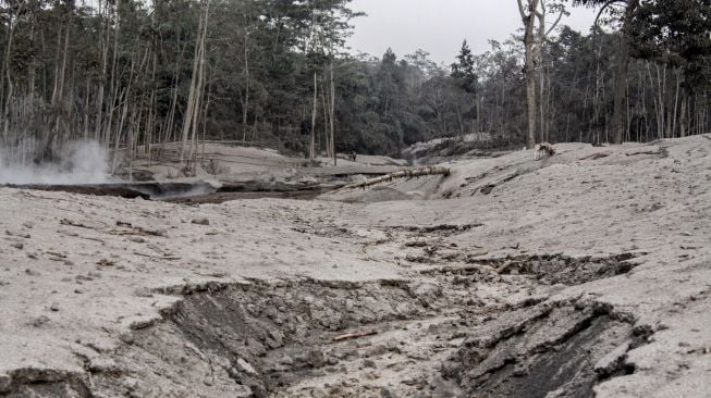 Suasana jalur lahar panas Gunung Semeru di kawasan Pronojiwo, Lumajang, Jawa Timur, Rabu (2/12/2020).  [ANTARA FOTO/Umarul Faruq]
