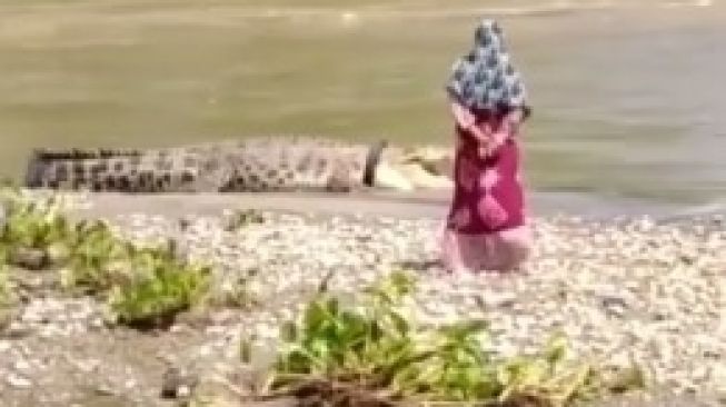 Viral! Sesosok Ibu Tak Gentar di Samping Buaya Berkalung Ban, Publik Takjub