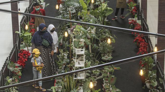 Pengunjung mengamati tanaman hias saat Pameran Tanam Tumbuh di Mall Margocity, Depok, Jawa Barat, Jumat (4/12/2020). [ANTARA FOTO/Asprilla Dwi Adha]