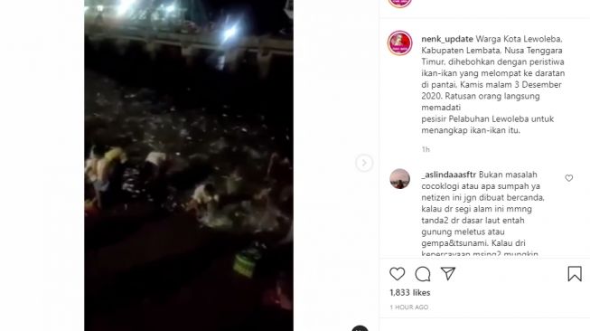 Video ribuan ikan melompat ke daratan di Lewoleba, Kabupaten Lembata, Nusa Tenggara Timur Kamis (3/12/2020). - (Instagram/@nenk_update)