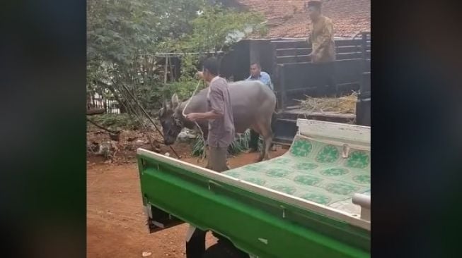 Viral seserahan lamaran sampai diangkut mobil pickup. (Tikto0k